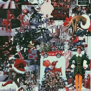 Meet your Posher, Lilly